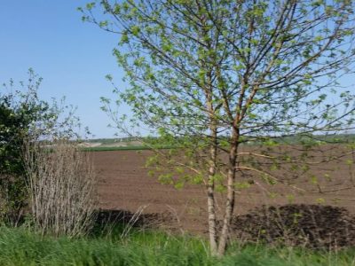 Срещи в областни градове за директните плащания на земеделците