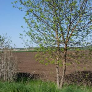 Срещи в областни градове за директните плащания на земеделците